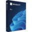 Windows 11 Professional 32/64 Bit Activation Key