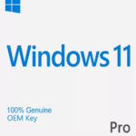 Windows 11 Pro OEM Key Lifetime Validity
