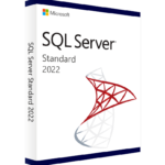 SQL Server 2022 Standard license key lifetime validity